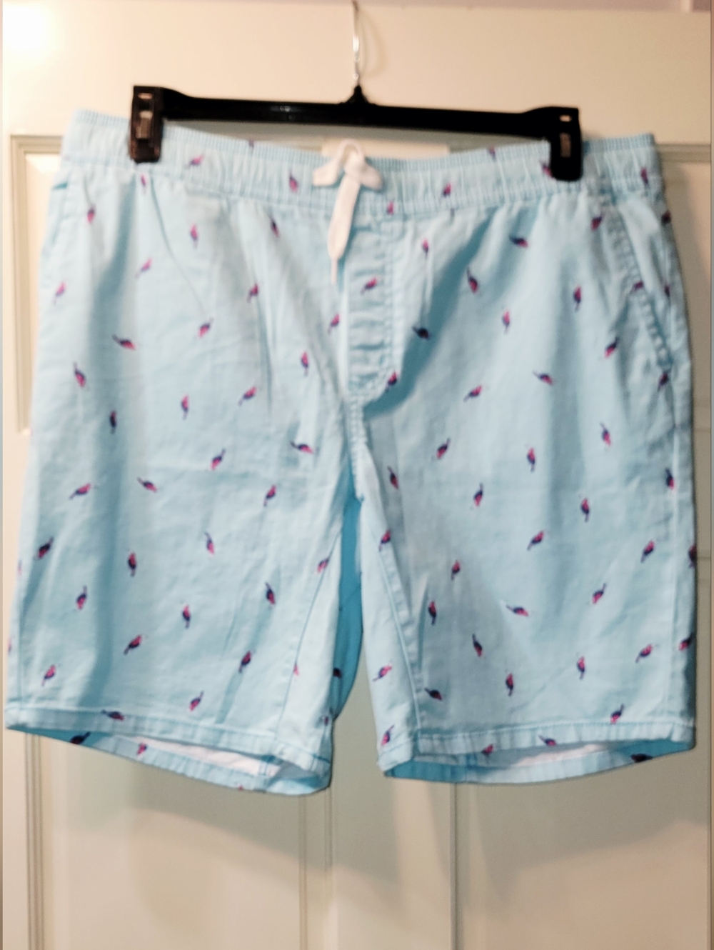 Light Blue Men's Shorts with Small Pink Bird Accent Print Size - L 36-38